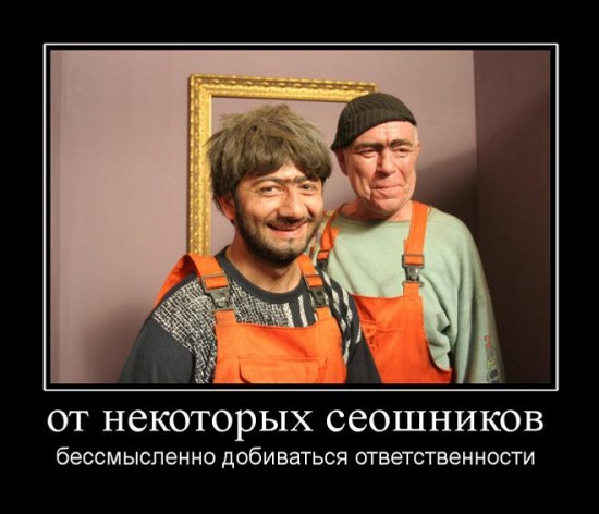 SEO джамшуты